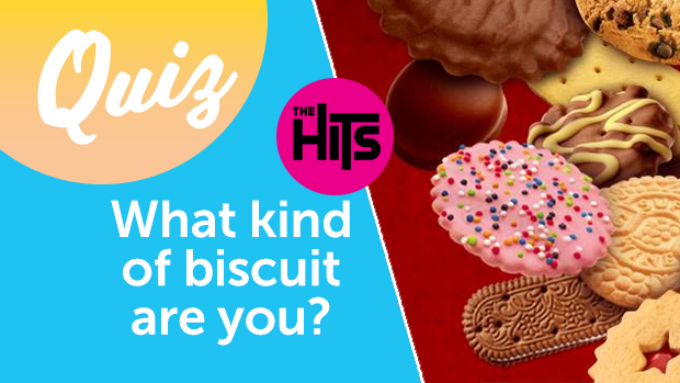 Biscuit quiz sale