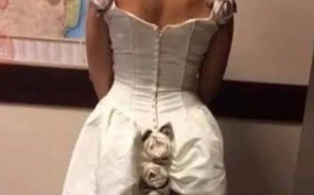 Bride's evening outfit ridiculed by wedding shamers after she shows off her  'massive butt wedgie' – The Sun