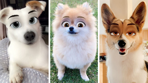 You can now transform your dog into a Disney this adorable Snapchat filter